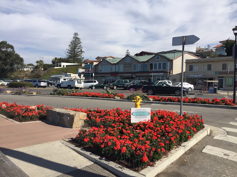 2017 America in Bloom Evaluation of Morro Bay